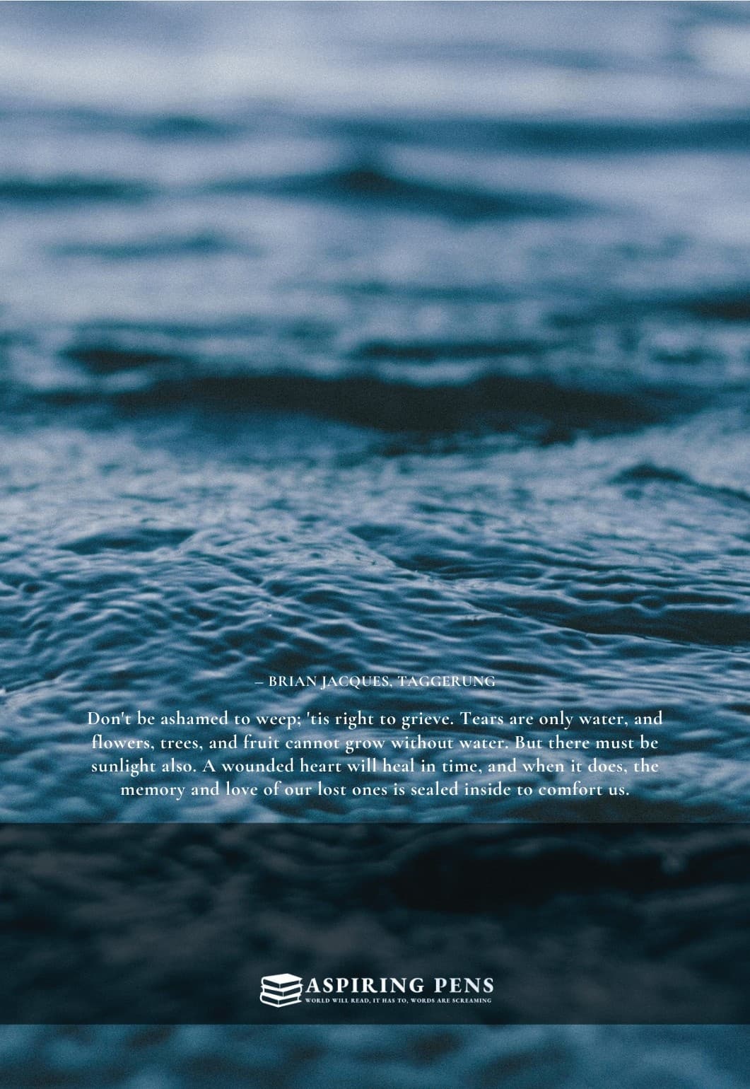 Hysterical Waves - back cover