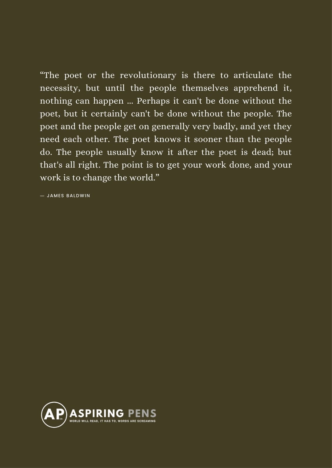 I Am Not What I Show - back cover