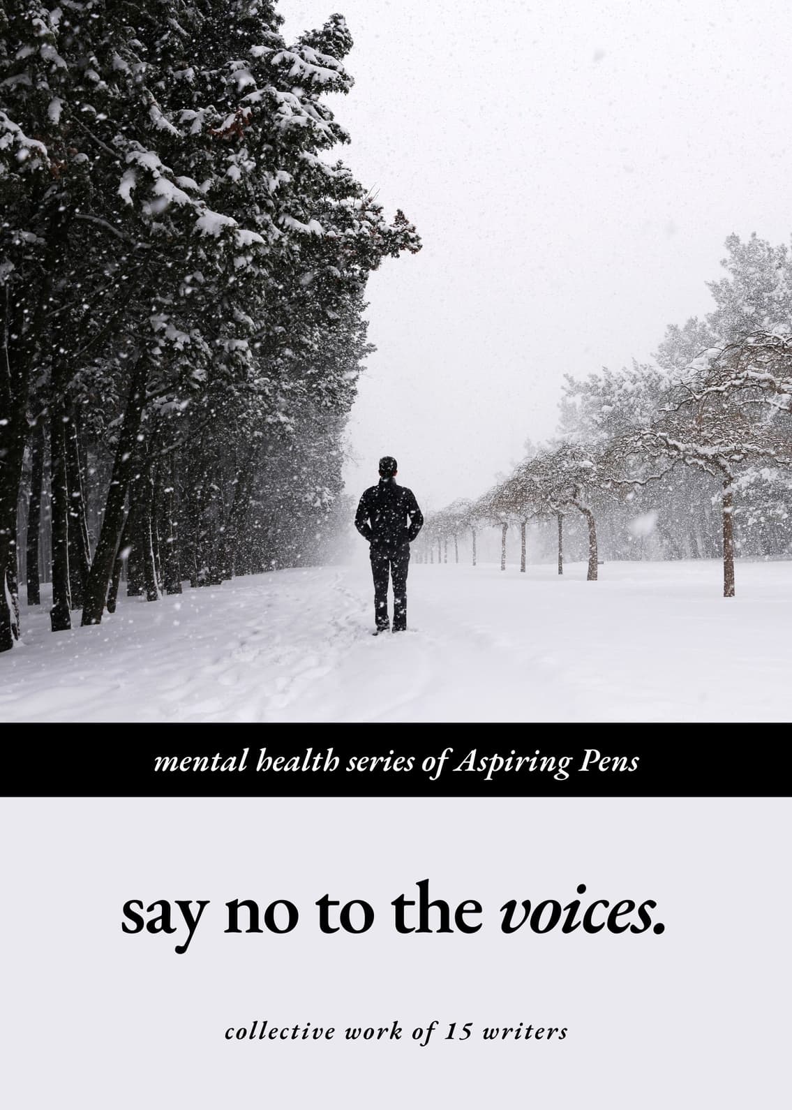 Say No to Voices