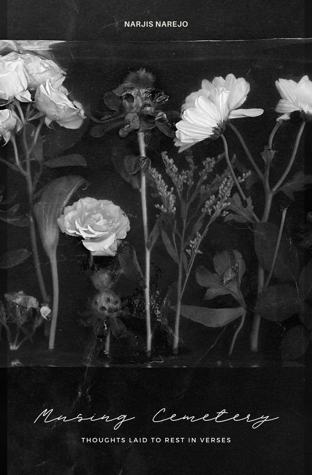 Musing Cemetery by Narjis Najero — cover
