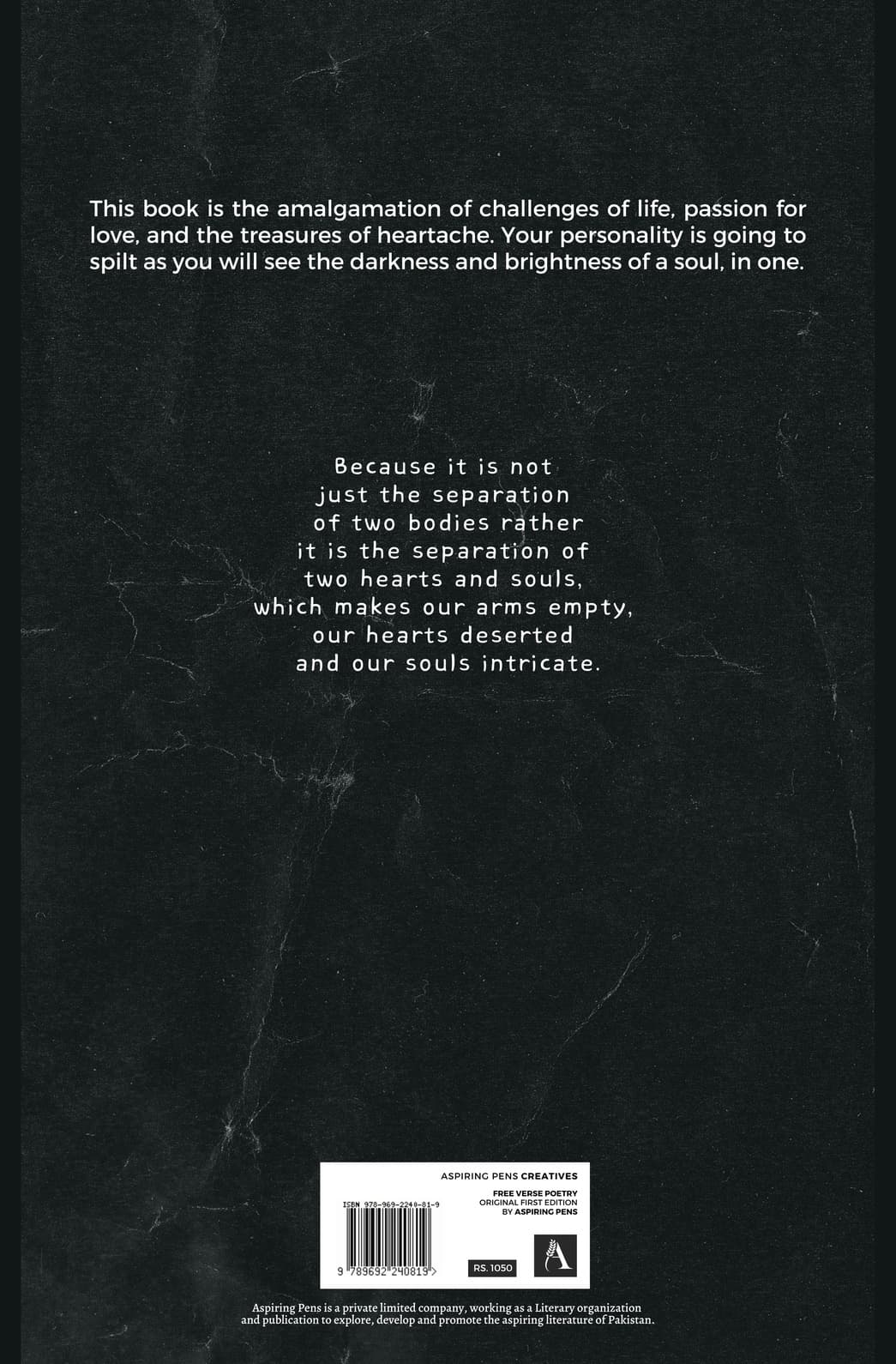 Musing Cemetery by Narjis Najero — back cover