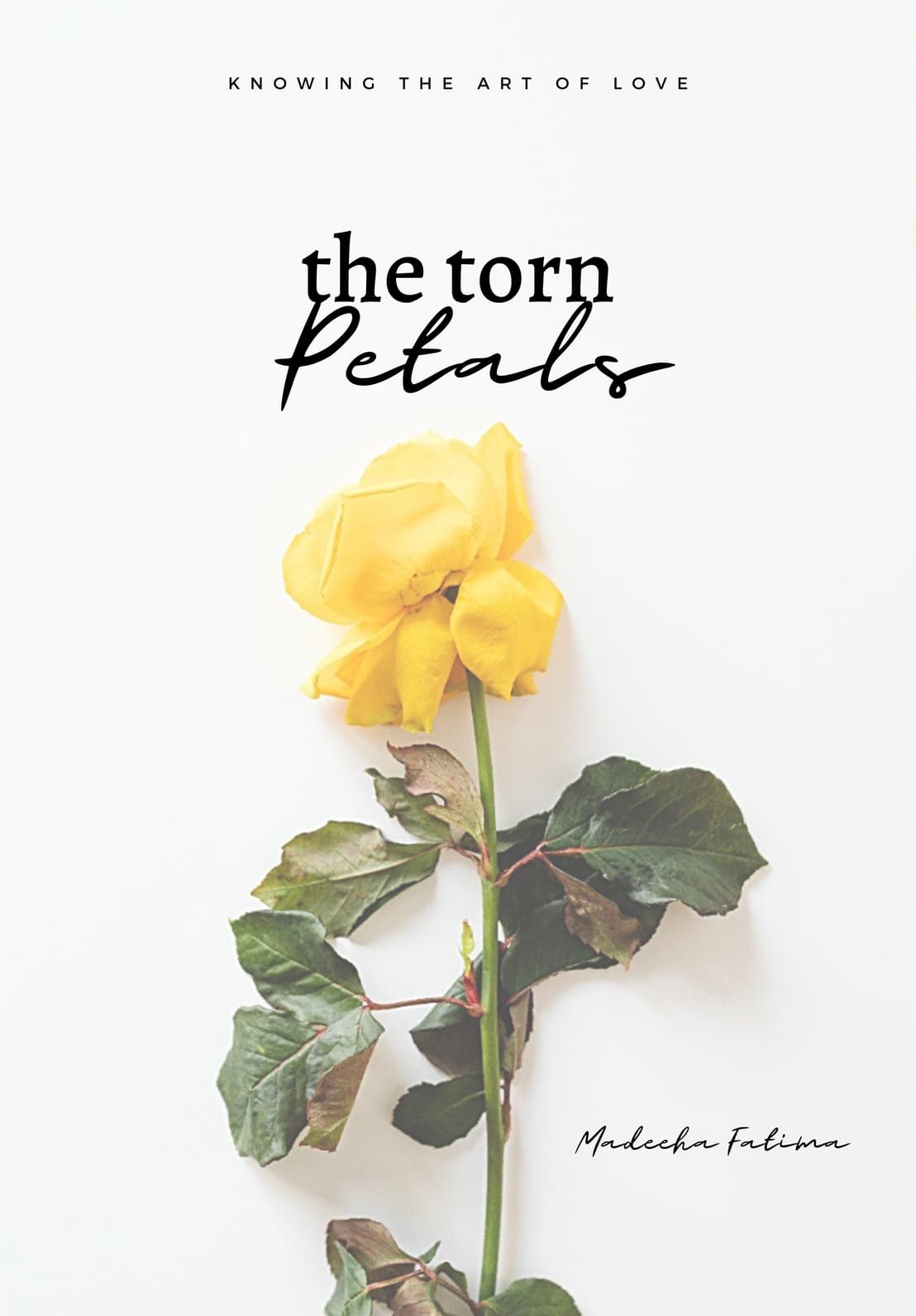 Torn Petals by Madeeha Fatima — cover