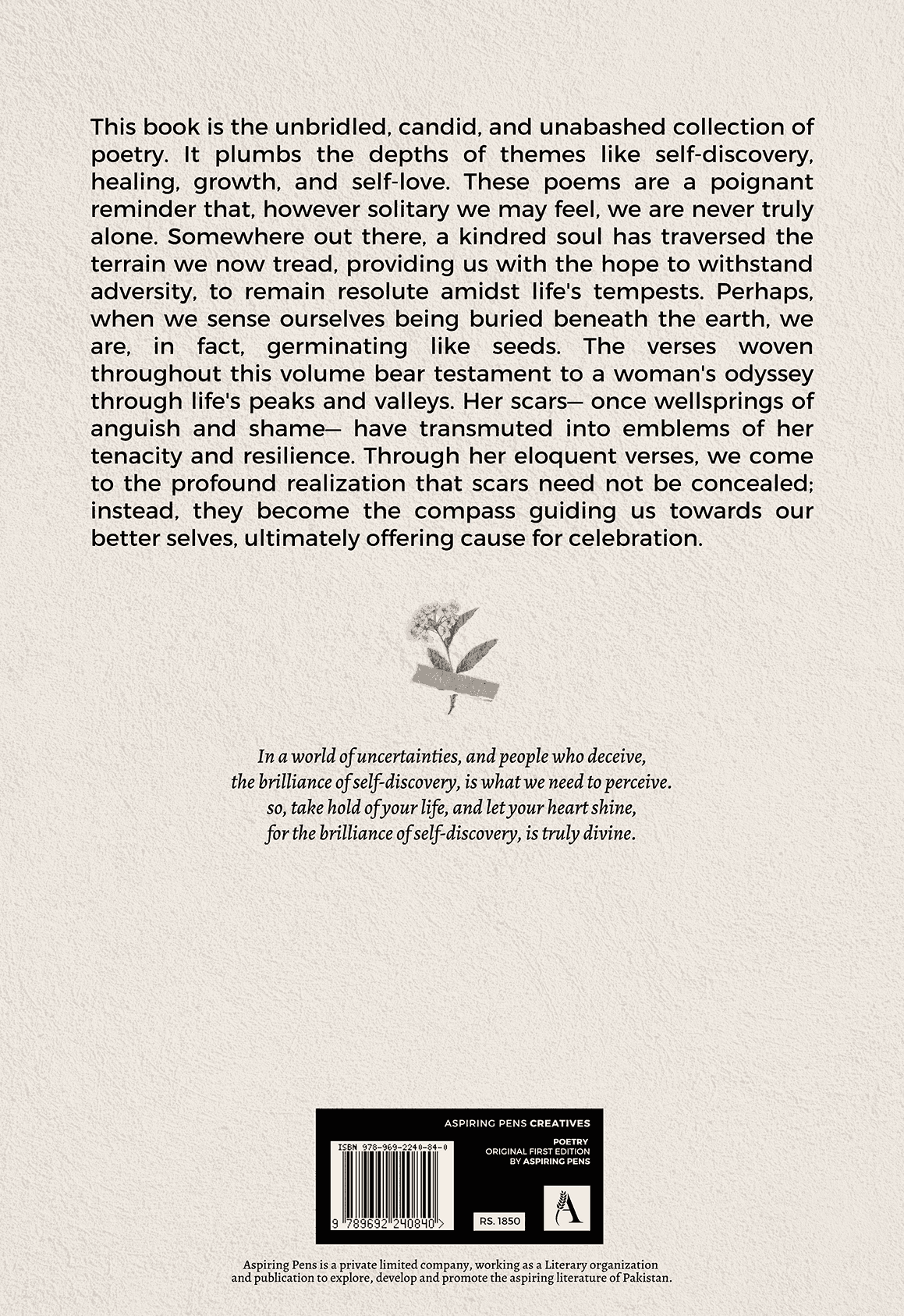 When Her Scars became the Divine Bliss by Zoya Hassan — back cover